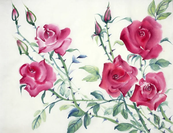 Floração Rosa Arbusto Pintado Estilo Chinês — Fotografia de Stock