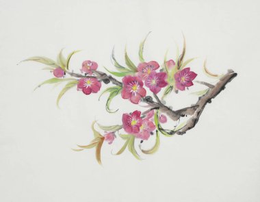 Çin tarzında boyalı bir çiçek açması şeftali Şubesi