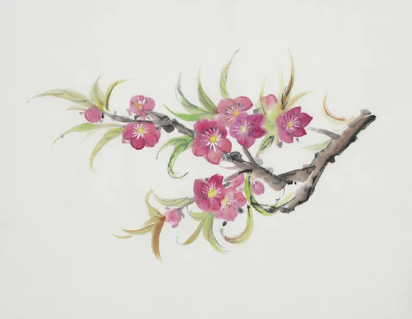 Zweig Eines Blühenden Pfirsichs Chinesischen Stil Bemalt — Stockfoto
