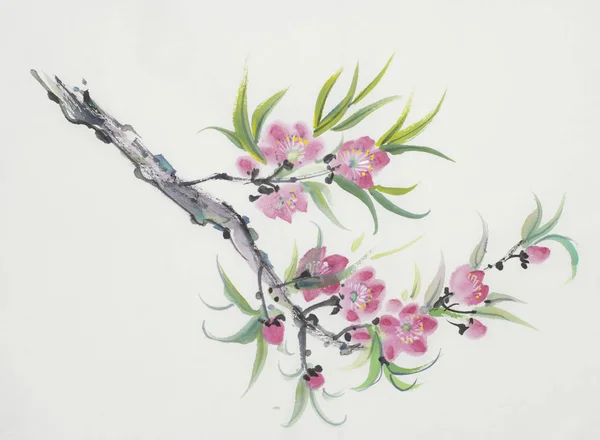 Zweig Eines Blühenden Pfirsichs Chinesischen Stil Bemalt — Stockfoto
