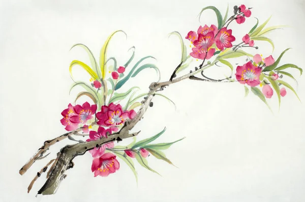 Квітучі Персика Філія Пофарбовані Китайському Стилі — стокове фото