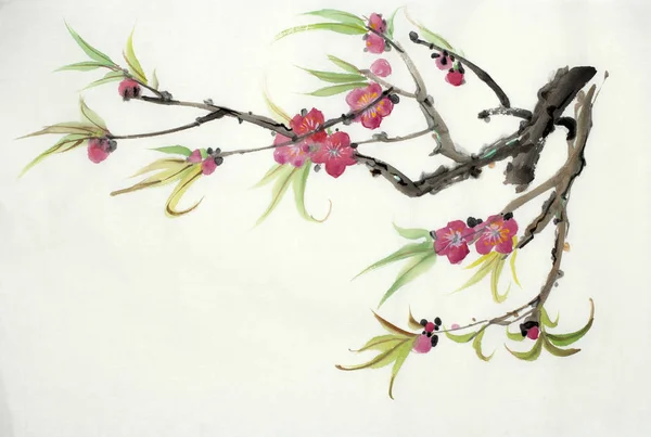 Pobočka Kvetoucí Broskev Čínském Stylu — Stock fotografie