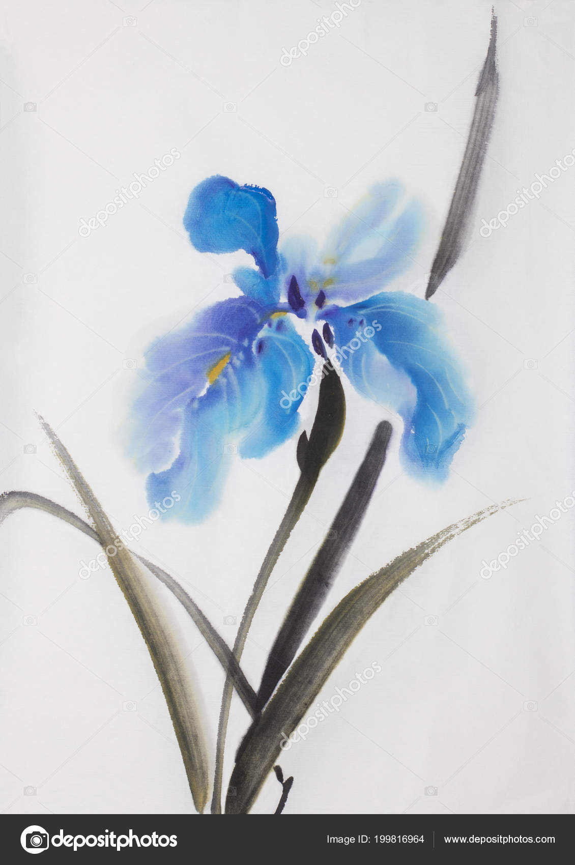 Gently Blue Iris Flower Painted Chinese Style — Stock Photo © nikolai2