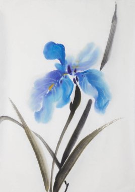 yavaşça mavi iris çiçeği Çin tarzında boyalı