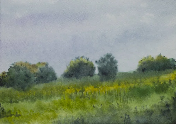 yaz, yatay, alan çim ve ağaçların