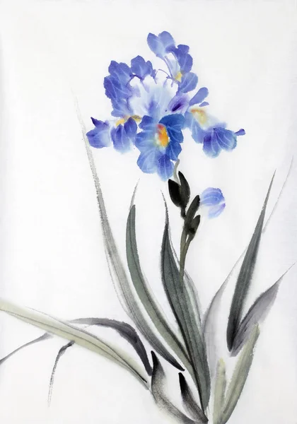 Fleur Iris Brillant Peint Dans Style Chinois — Photo