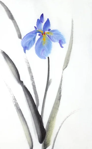 Beyaz Zemin Üzerine Mavi Iris Çiçeği — Stok fotoğraf