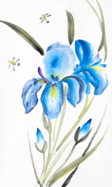 mavi iris ve beyaz arka plan üzerinde arı