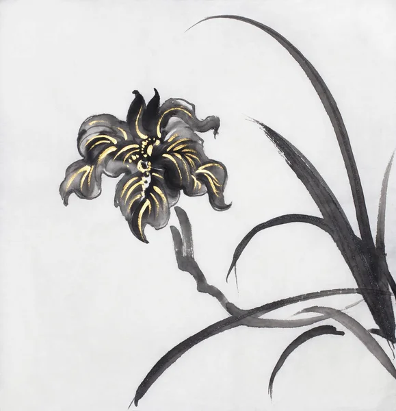 Beyaz Bir Arka Plan Üzerinde Parlak Siyah Iris — Stok fotoğraf
