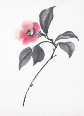 beyaz zemin üzerine kırmızı Kamelya çiçeği