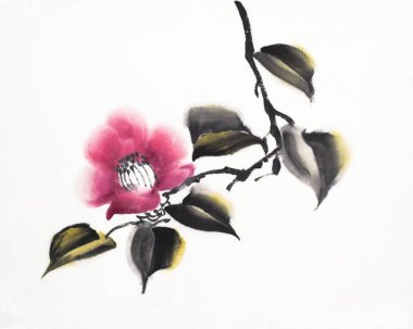 beyaz zemin üzerine kırmızı Kamelya çiçeği