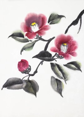 beyaz zemin üzerine kırmızı Kamelya çiçeği