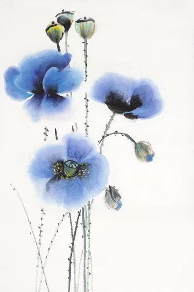 白色背景上的三只蓝色罂粟花 — 图库照片