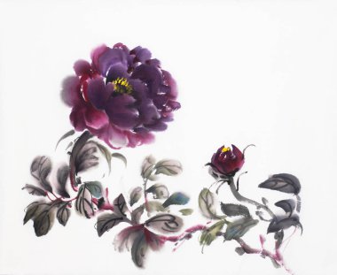 beyaz bir arka plan üzerinde parlak kırmızı şakayık