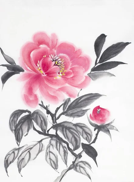 beyaz bir arka plan üzerinde parlak kırmızı şakayık