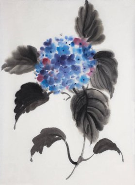 beyaz zemin üzerinde mavi ortanca çiçek