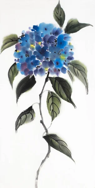 白い背景の青いアジサイの花 — ストック写真