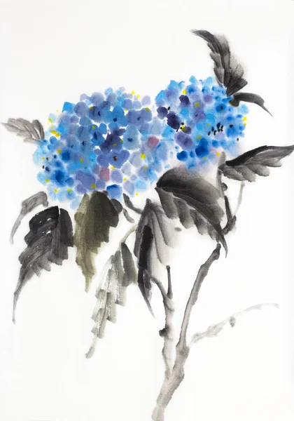 Blaue Hortensie Blume Auf Weißem Hintergrund — Stockfoto