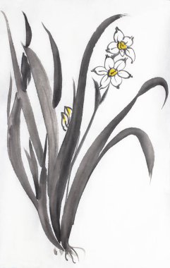 hafif bir arka plan üzerinde parlak nergis çiçek