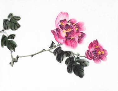 parlak hibiscus çiçek hafif bir arka plan üzerinde