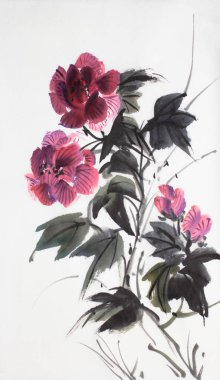 parlak hibiscus çiçek hafif bir arka plan üzerinde