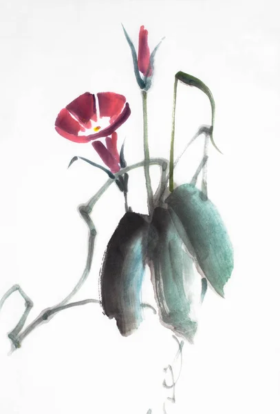 Κόκκινο Λουλούδι Του Δόξα Πρωινού Ζωγραφισμένα Στο Κινεζικό Στυλ — Φωτογραφία Αρχείου