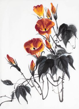 hafif bir arka plan üzerinde sabah zafer portakal çiçeği