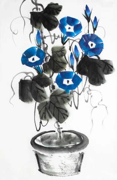 Μπλε Λουλούδι Της Δόξα Πρωινού Λευκό Φόντο — Φωτογραφία Αρχείου
