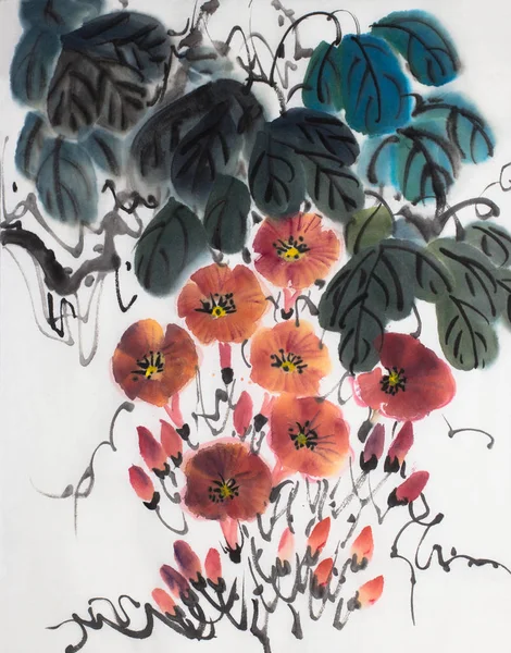 Πορτοκαλί Λουλούδι Της Δόξα Πρωινού Ανοιχτόχρωμο Φόντο — Φωτογραφία Αρχείου