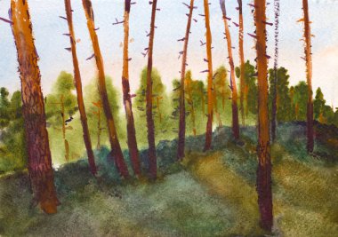 çam ve güneş, akşam yatay yaz