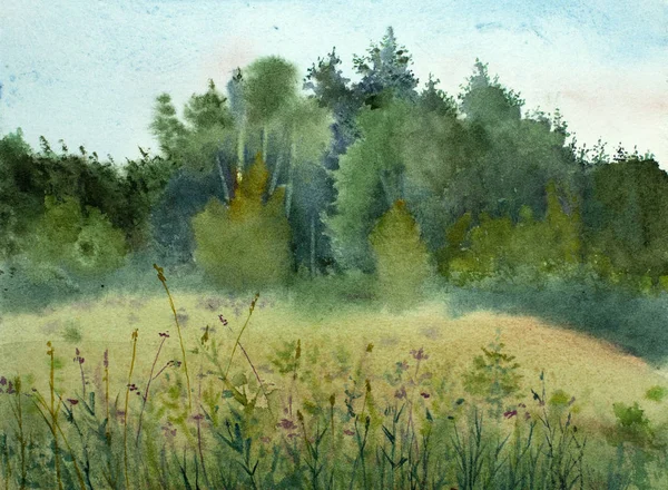 Letní Krajina Stromy Polem Maloval Akvarel — Stock fotografie