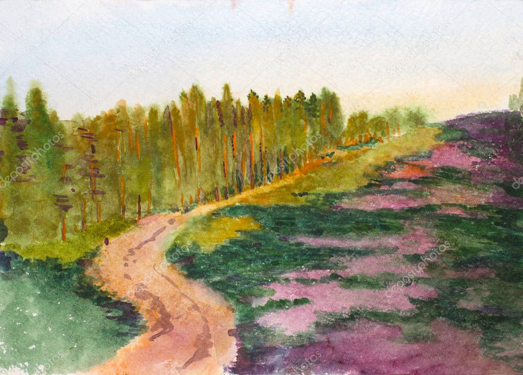 summer evening landscape with pines and road