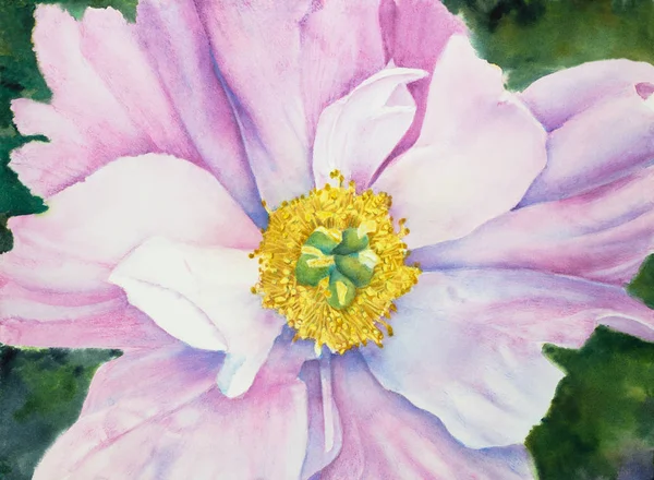 Рожева Квітка Півонії Розмальована Крупним Планом — стокове фото