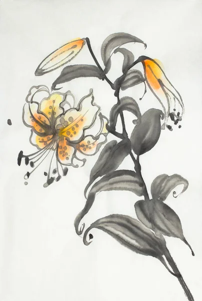 Güzel Narin Lily Çiçek Beyaz Arka Plan Üzerinde — Stok fotoğraf