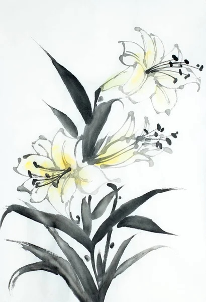 Beyaz Arka Plan Üzerinde Beyaz Zambak Çiçeği — Stok fotoğraf