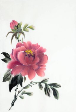 Kırmızı Şakayık çiçeği