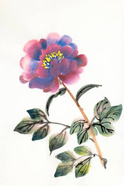 hafif bir arka plan üzerinde parlak Şakayık Çiçeği