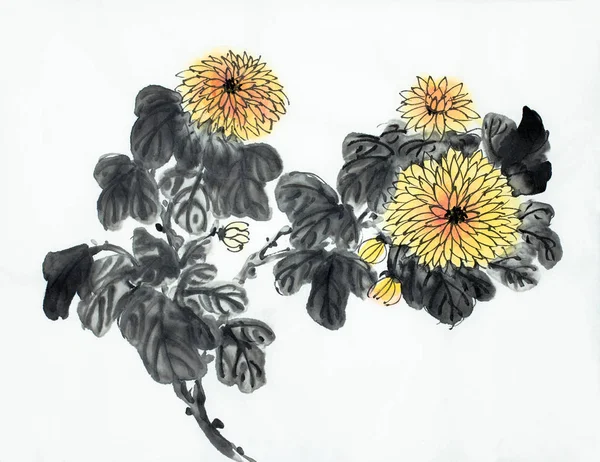 Heller Chrysanthemenzweig Auf Hellem Hintergrund — Stockfoto
