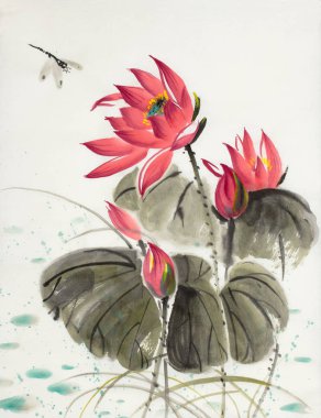 Lotus çiçeği ve yusufçuk hafif bir arka plan üzerinde