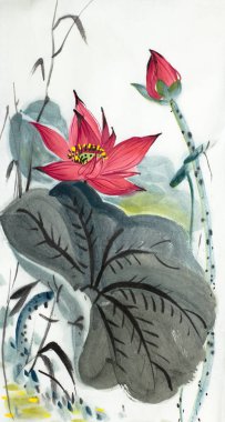 hafif bir arka plan üzerinde parlak lotus çiçeği