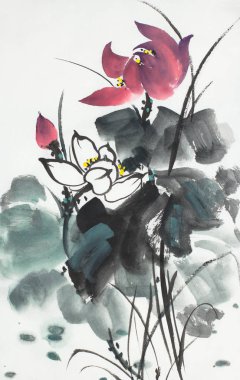 hafif bir arka plan üzerinde pembe lotus çiçeği