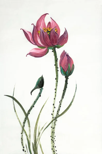 Hafif Bir Arka Plan Üzerinde Parlak Lotus Çiçeği — Stok fotoğraf