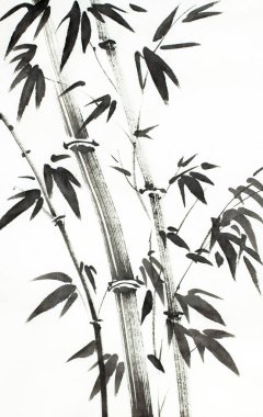 hafif bir arka plan üzerinde parlak bambu ağaçları