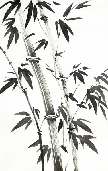 Árboles Bambú Brillantes Sobre Fondo Claro —  Fotos de Stock