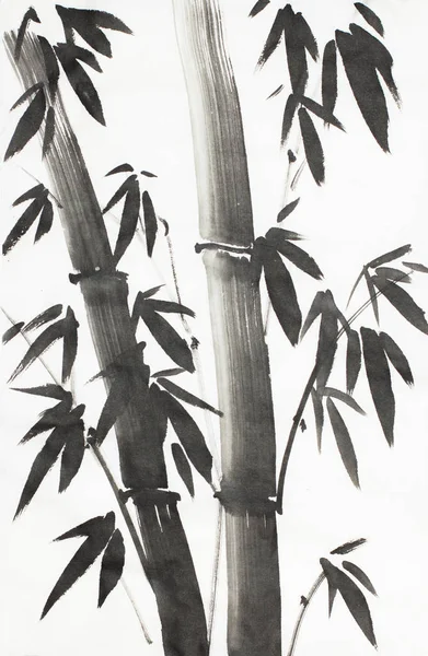 Monochrome Bamboo Tree Light Background — Stock Photo, Image