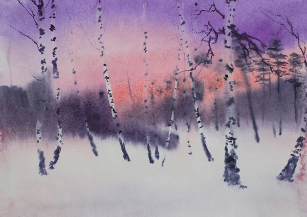Twilight Winter Birch Grove — Stock Photo, Image