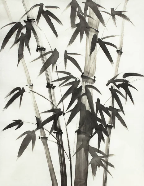 Monochrome Bamboo Trees Light Background — Stock Photo, Image