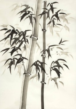 Bambu hafif bir arka plan üzerinde siste