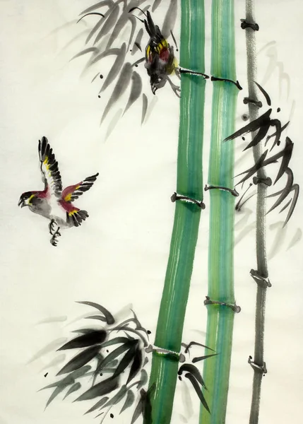 Bambus Ptáci Letu — Stock fotografie