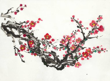 çiçeklenme yabani Erik dalı